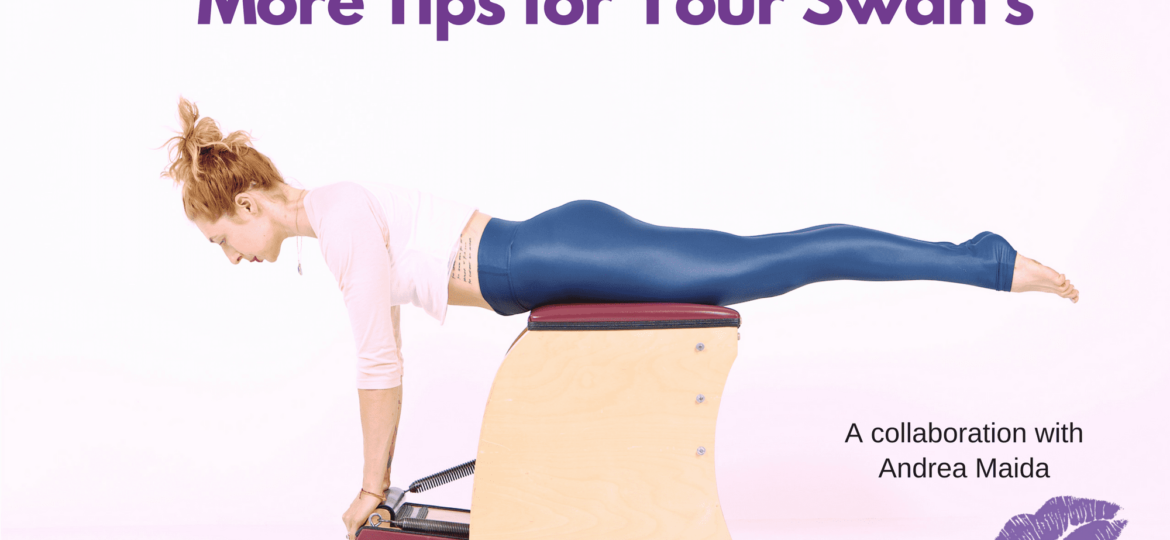 More Tips for Your Swans thegem blog - Online Pilates Classes